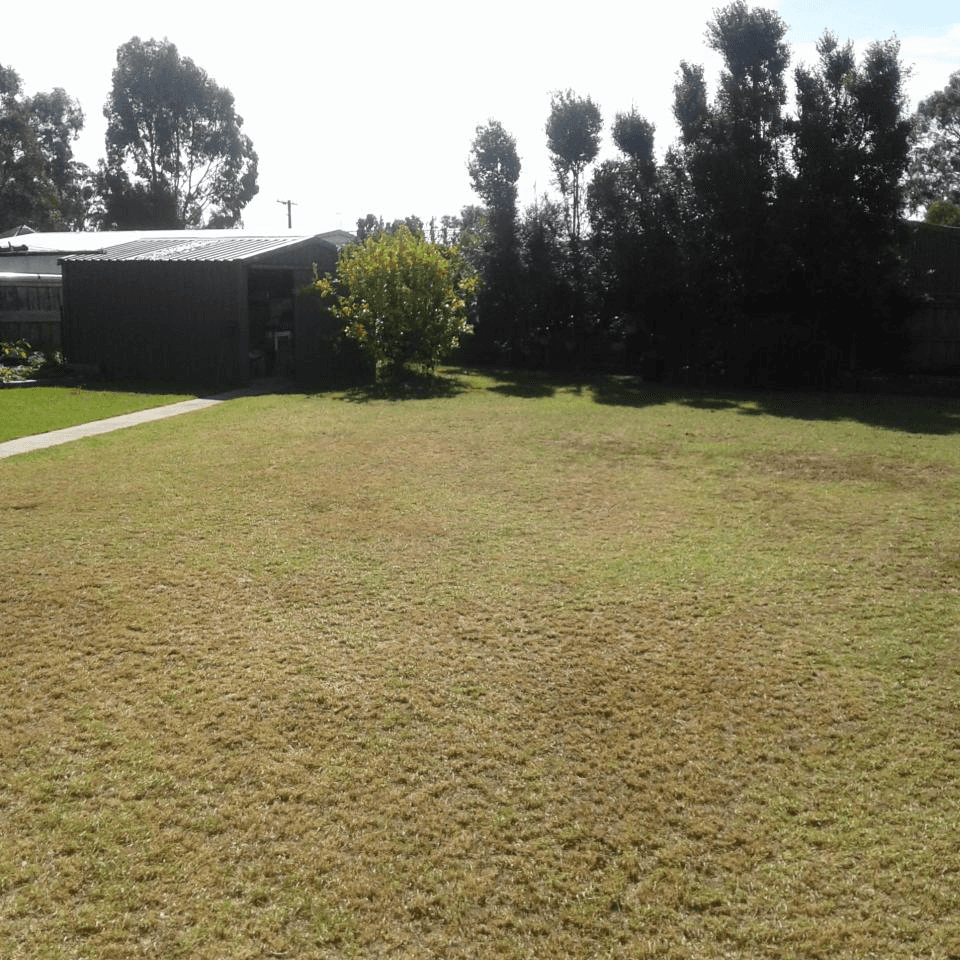 12 Rintoull Court, Rosedale, VIC 3847