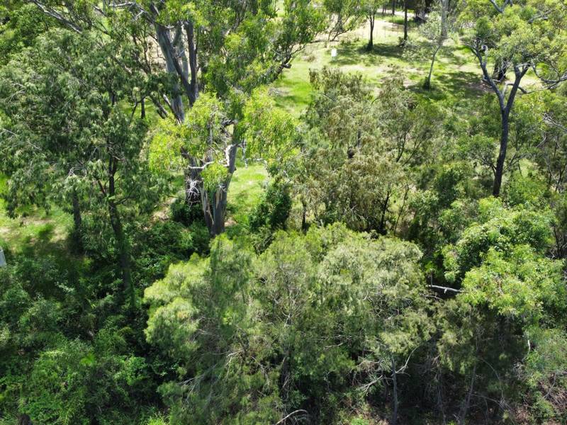4 Cliff Terrace, MACLEAY ISLAND, QLD 4184