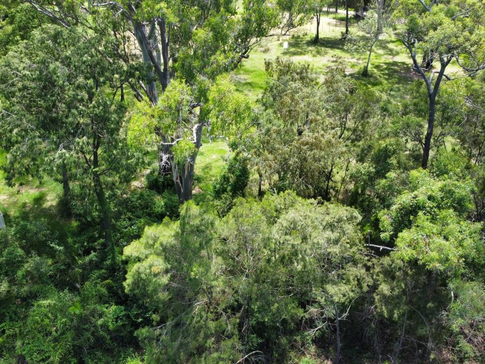 4 Cliff Terrace, MACLEAY ISLAND, QLD 4184