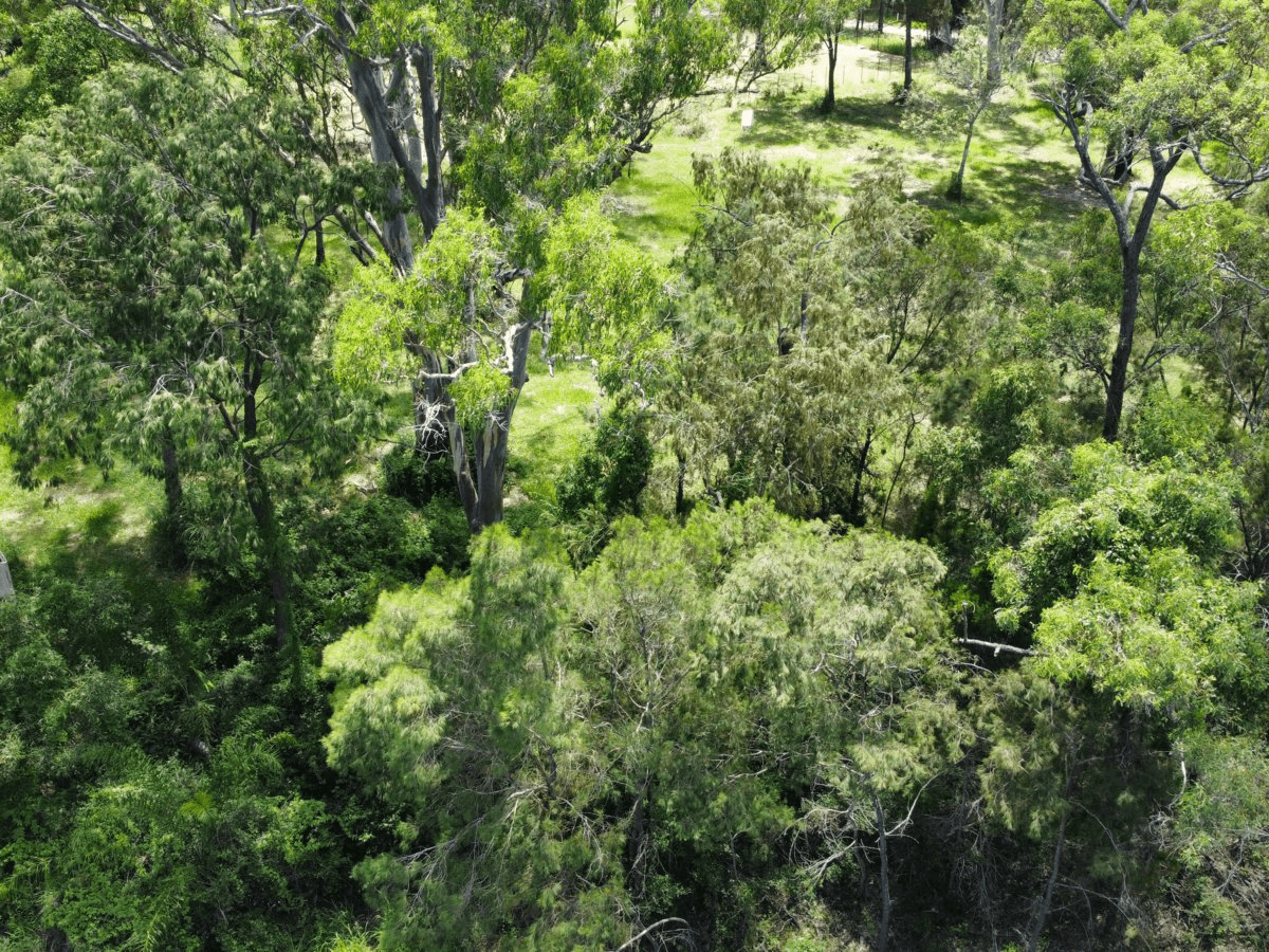 6 Cliff Terrace, MACLEAY ISLAND, QLD 4184