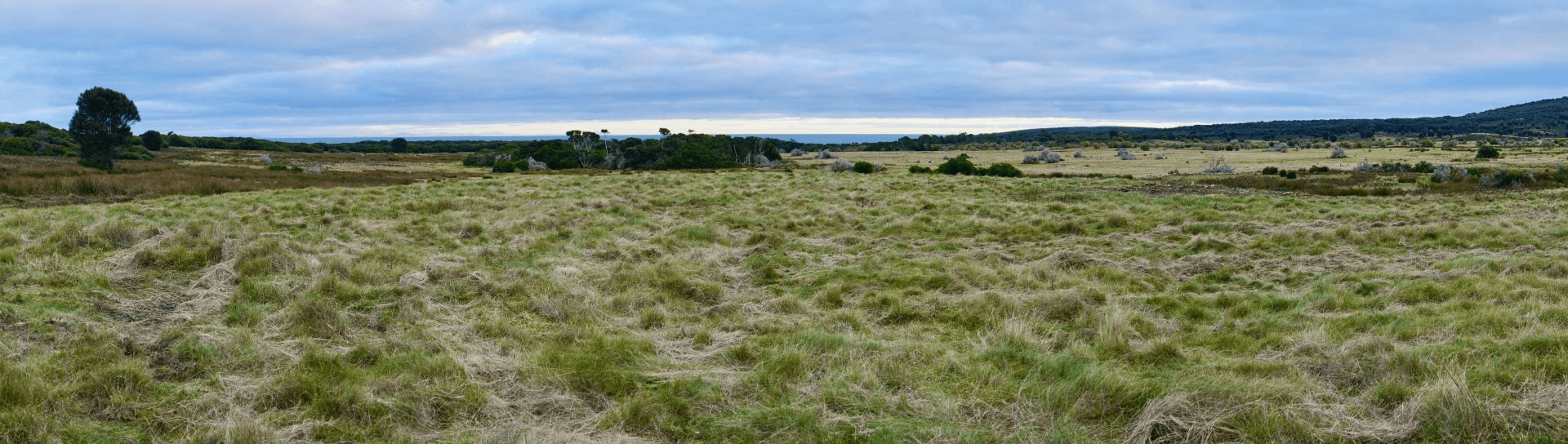 430 Thunder and Lightning Road, CAPE BARREN ISLAND, TAS 7257