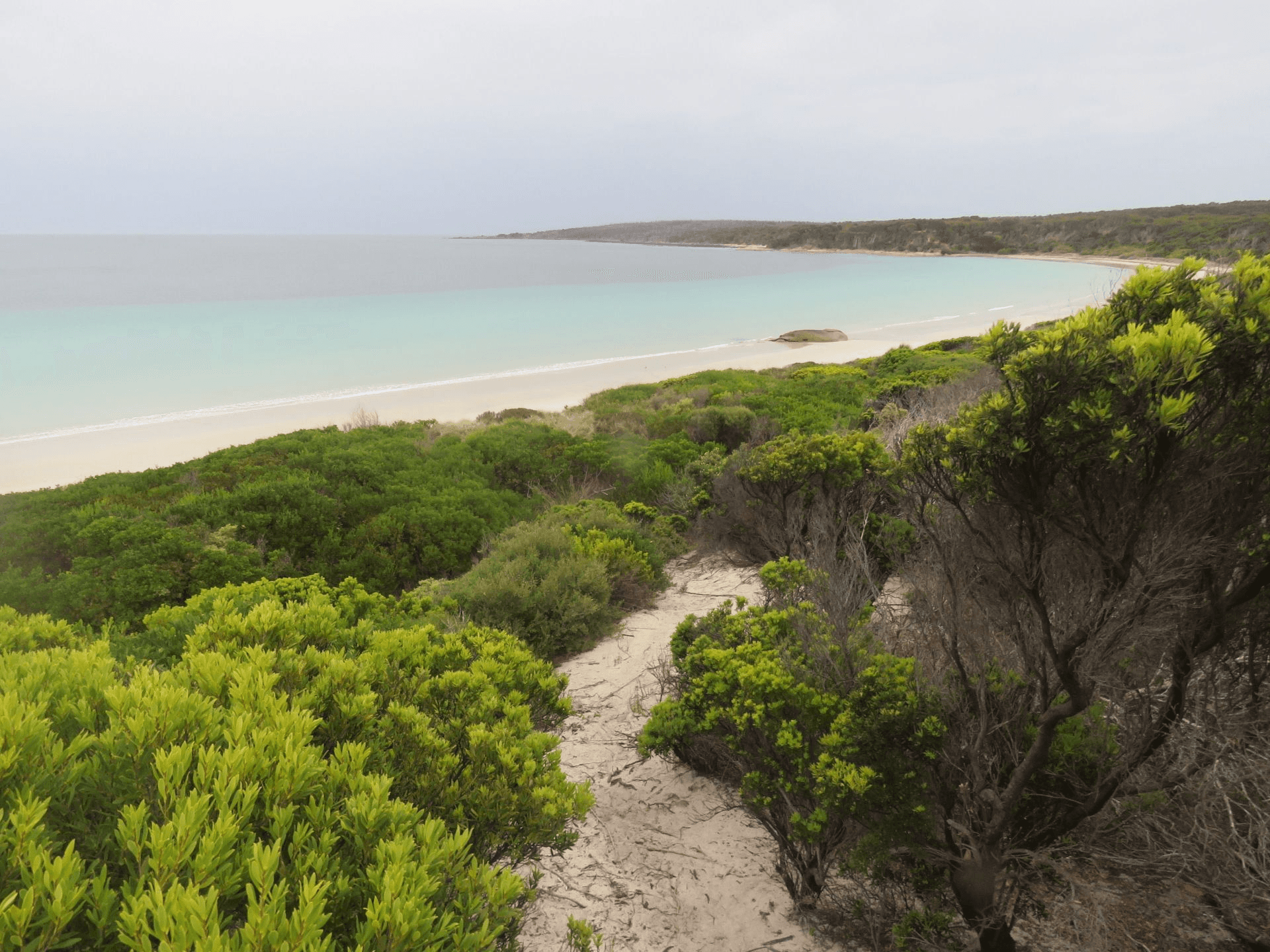 430 Thunder and Lightning Road, CAPE BARREN ISLAND, TAS 7257