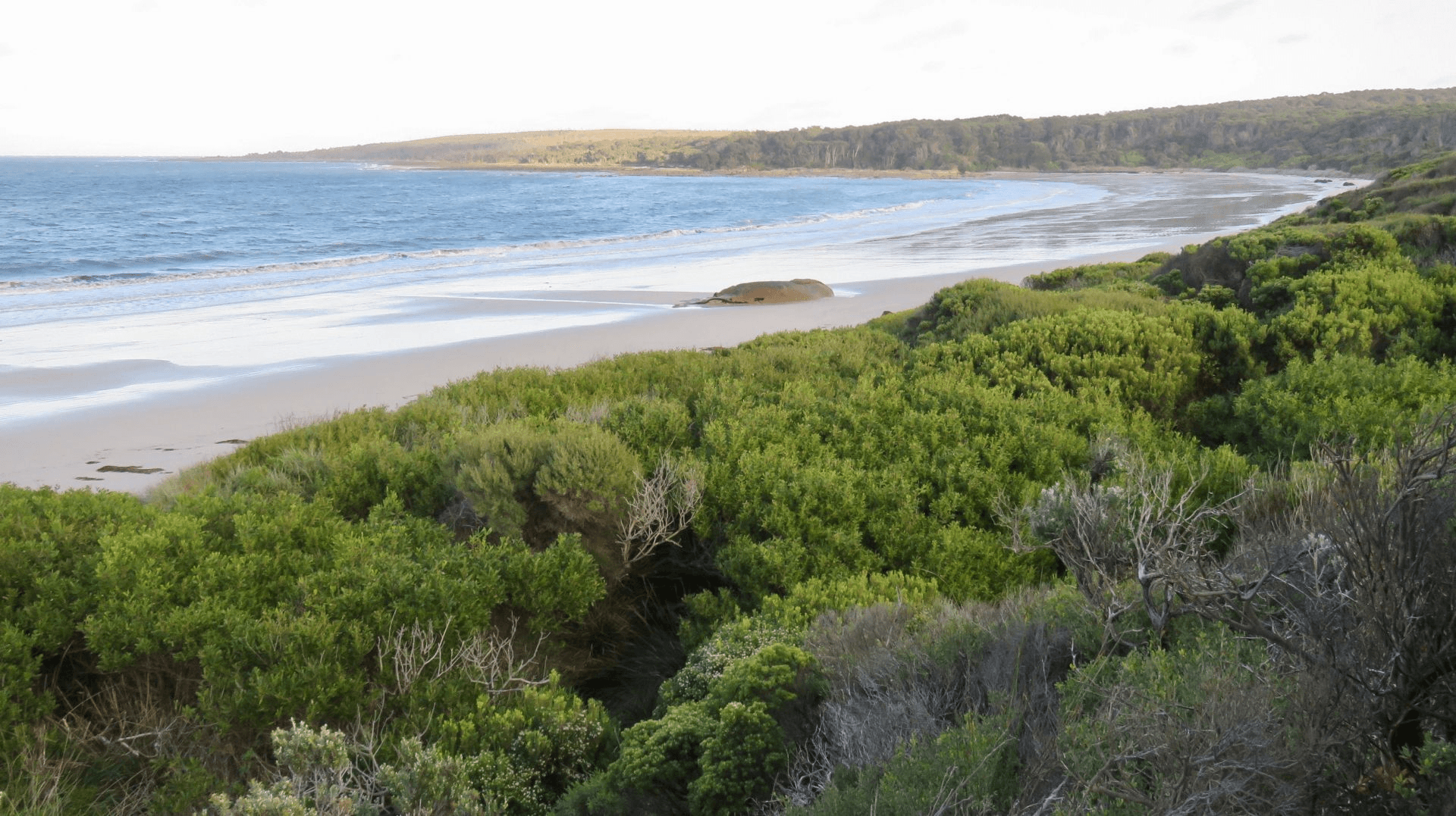 430 Thunder and Lightning Road, CAPE BARREN ISLAND, TAS 7257