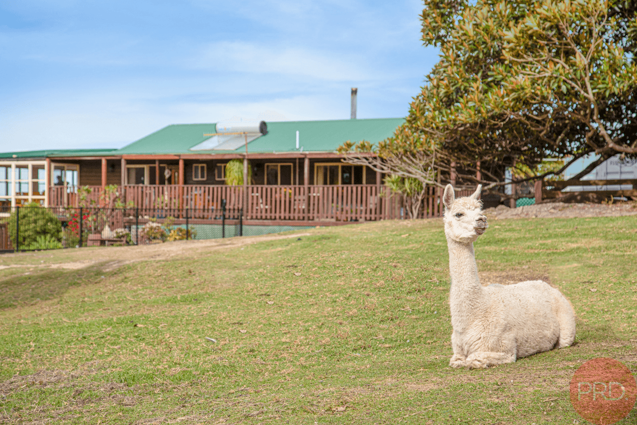 690 Lambs Valley Road, LAMBS VALLEY, NSW 2335