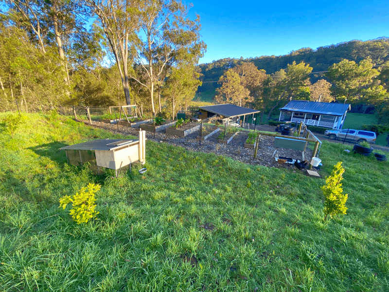 626 Deer Vale Road, DORRIGO, NSW 2453