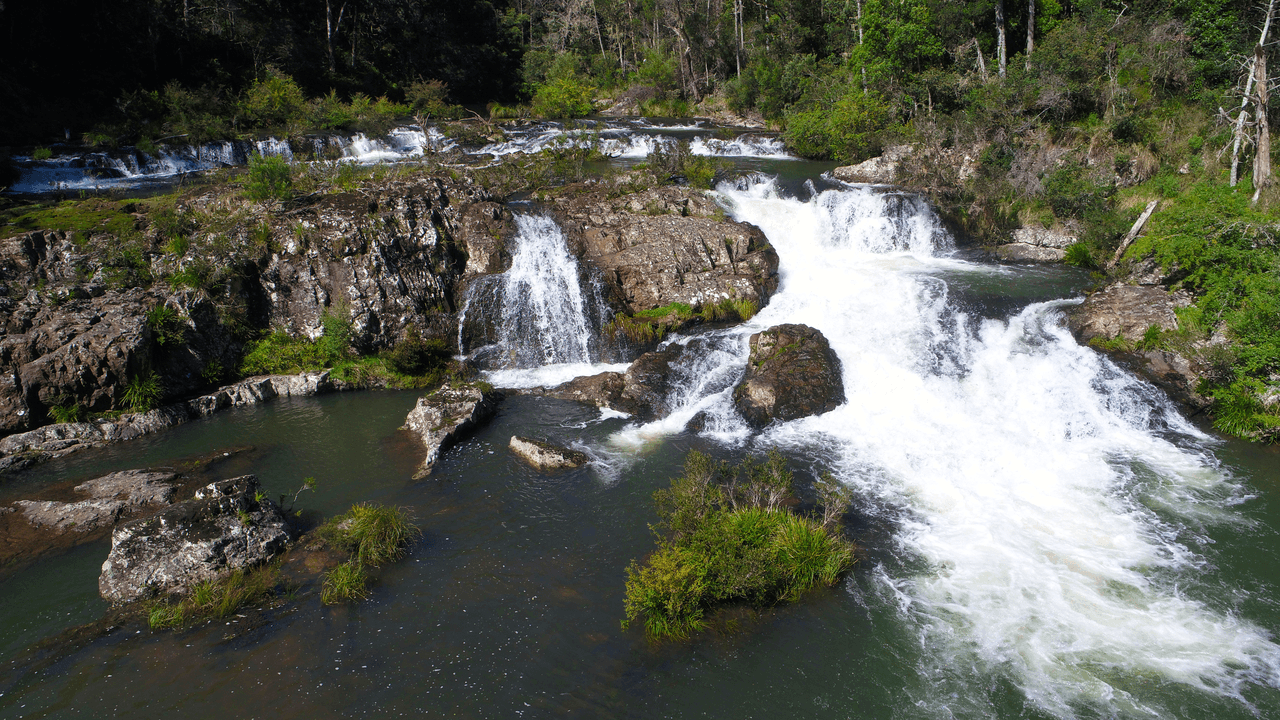 626 Deer Vale Road, DORRIGO, NSW 2453