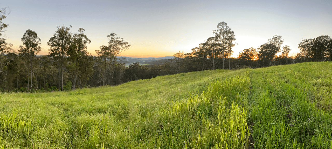 626 Deer Vale Road, DORRIGO, NSW 2453