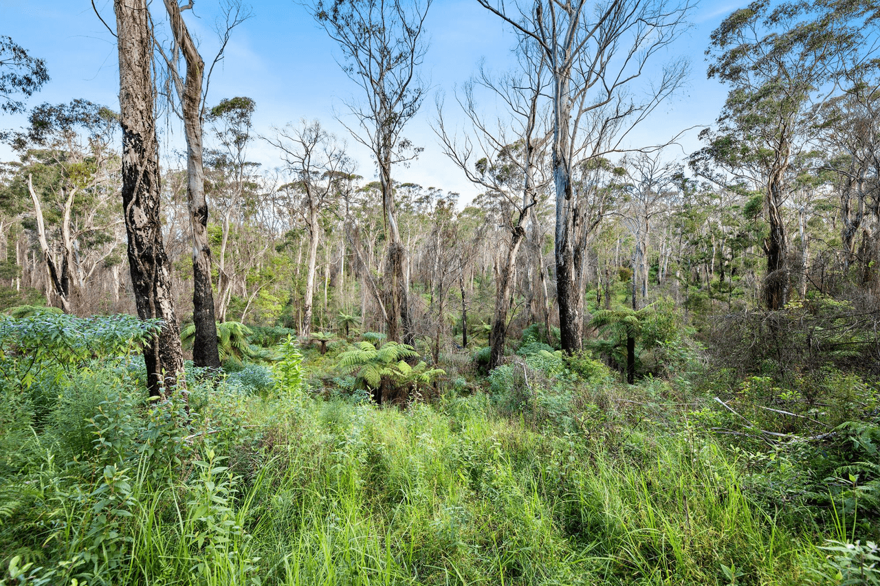 Lot 241/ Cobra Road, NAROOMA, NSW 2546