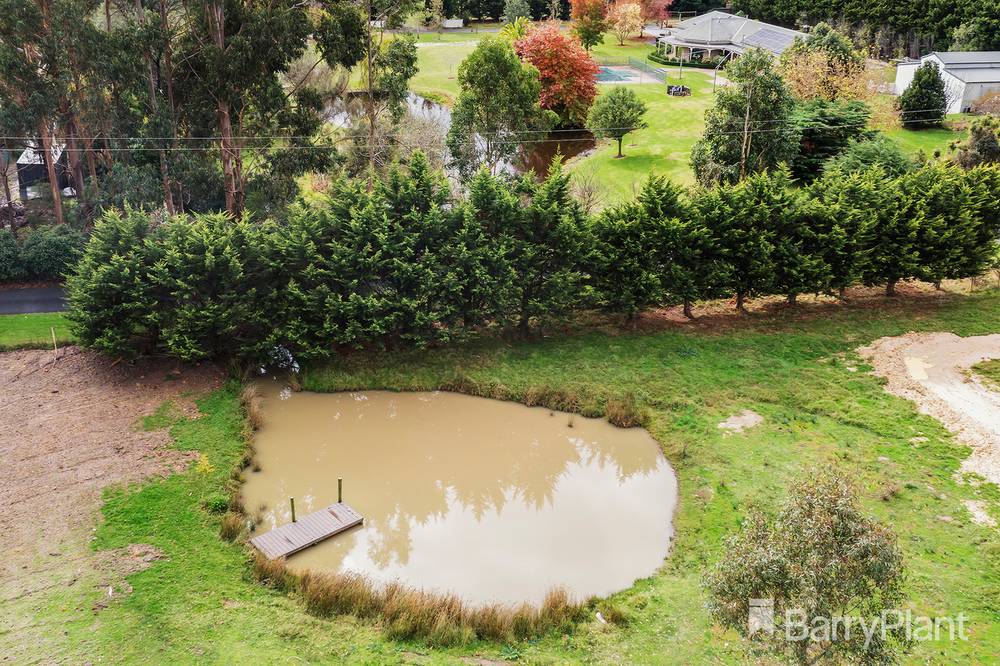 270 Warrandyte Road, Langwarrin, VIC 3910
