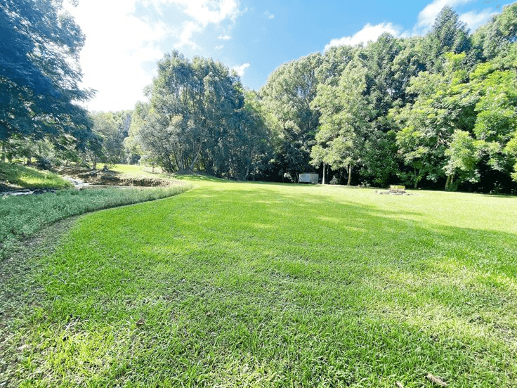 64 Braeside Drive, UKI, NSW 2484