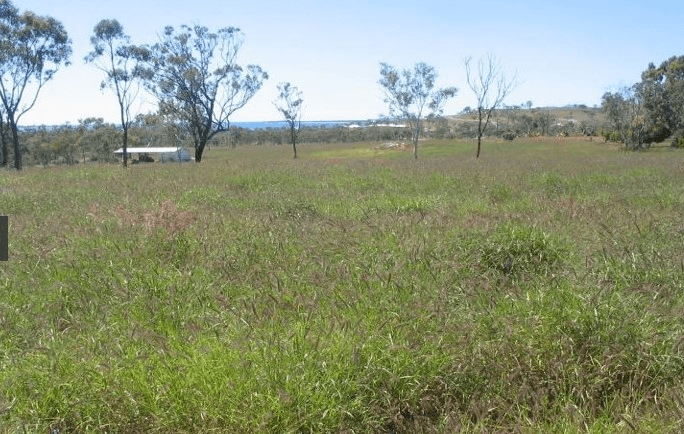 Lot 8 Bruce Highway, BOWEN, QLD 4805