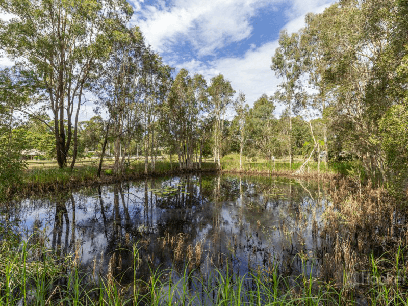 2-12 Carbeen Road, PARK RIDGE SOUTH, QLD 4125