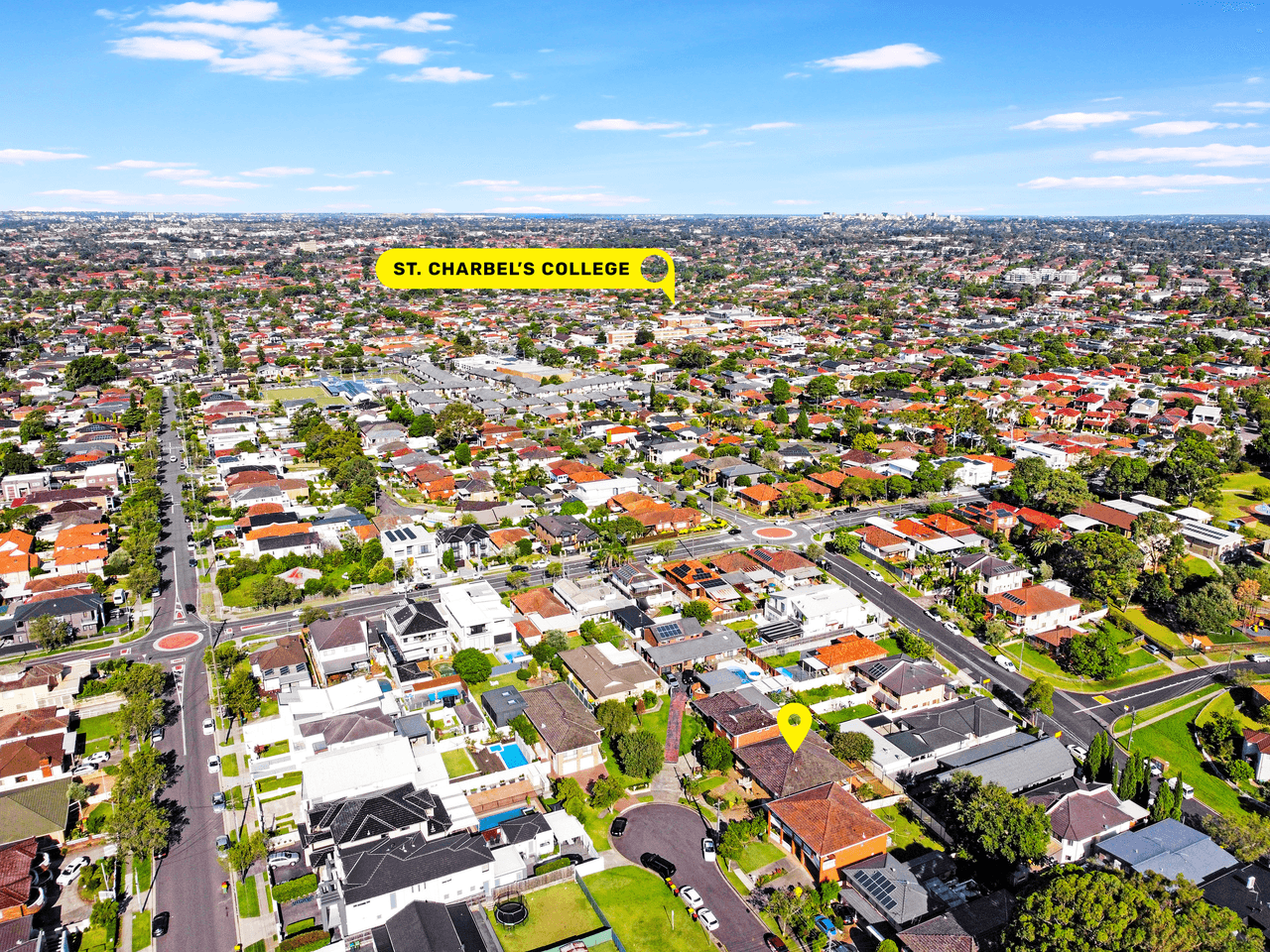 5 Salamander Place, MOUNT LEWIS, NSW 2190