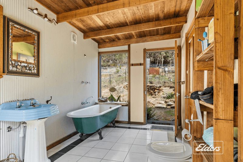 125 Blackball Line Road, Lilydale, TAS 7268