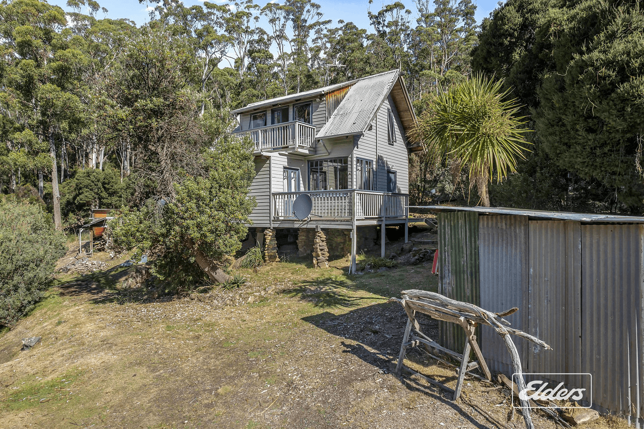 125 Blackball Line Road, Lilydale, TAS 7268