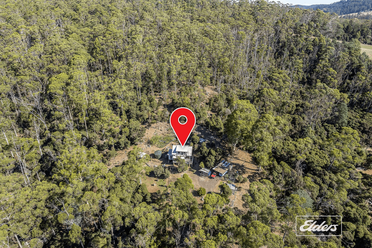 125 Blackball Line Road, Lilydale, TAS 7268