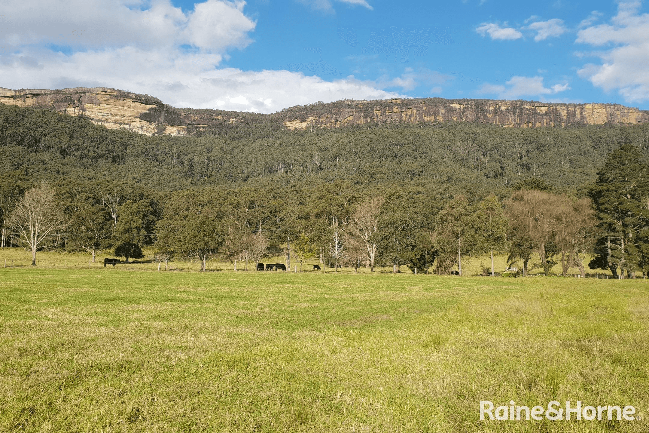 Lot 201 Jarretts Road, KANGAROO VALLEY, NSW 2577