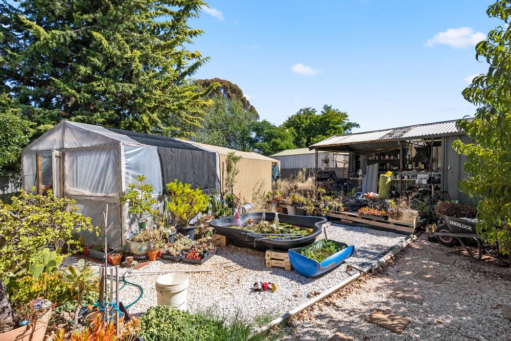 7 Butler Street, ELIZABETH PARK, SA 5113