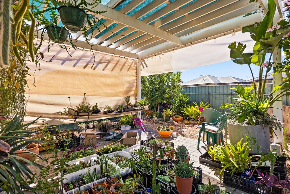 7 Butler Street, ELIZABETH PARK, SA 5113