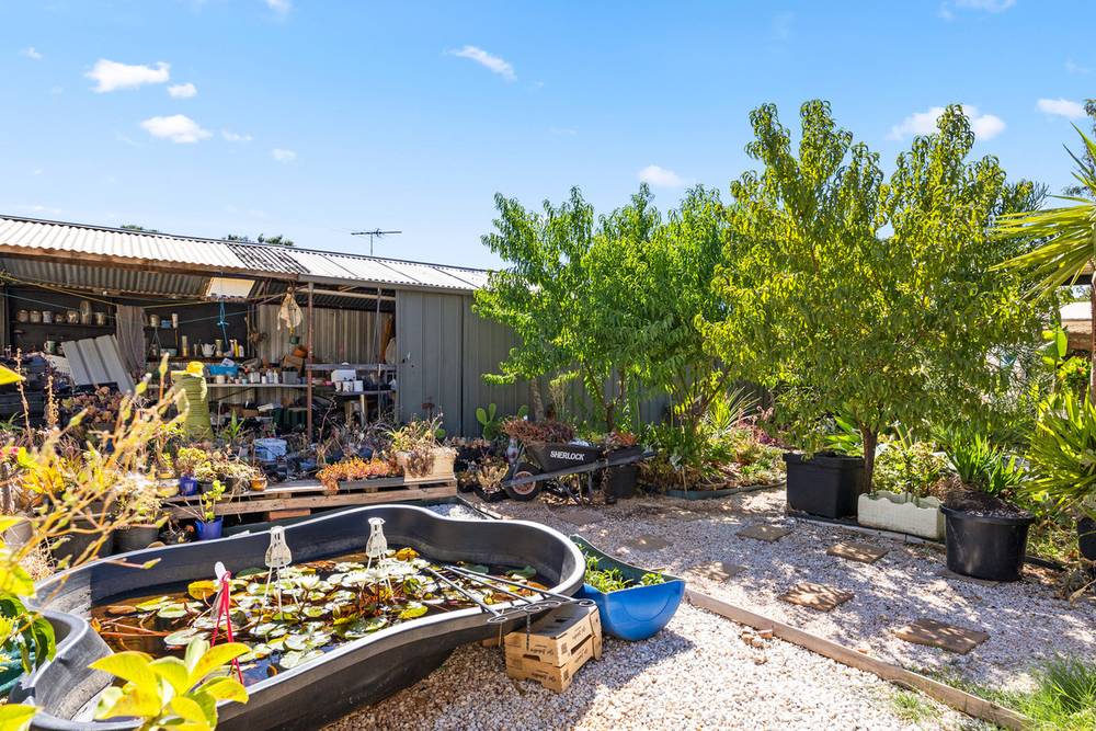 7 Butler Street, ELIZABETH PARK, SA 5113