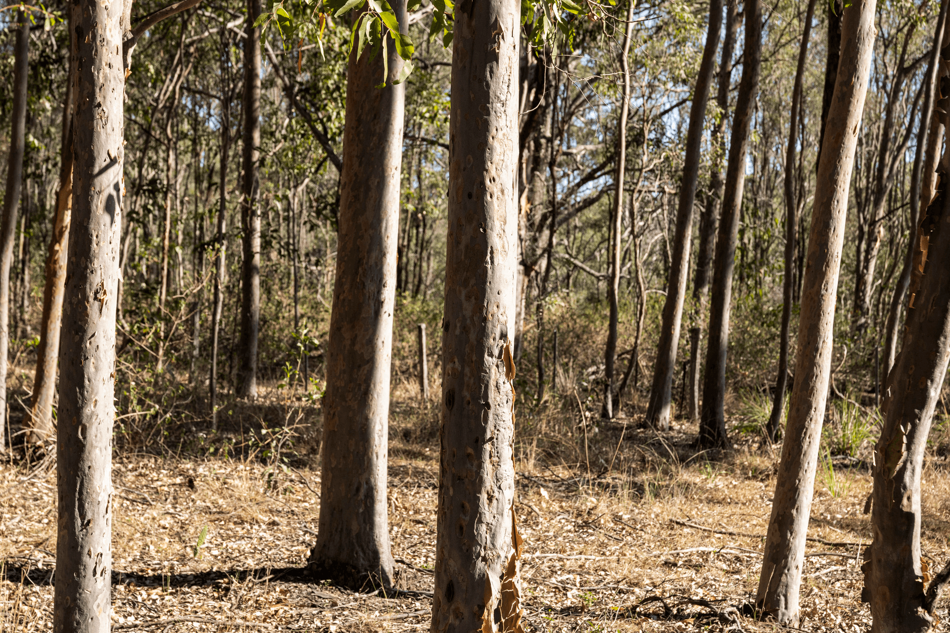 Fifteen Mile Road, Murphys Creek, QLD 4352