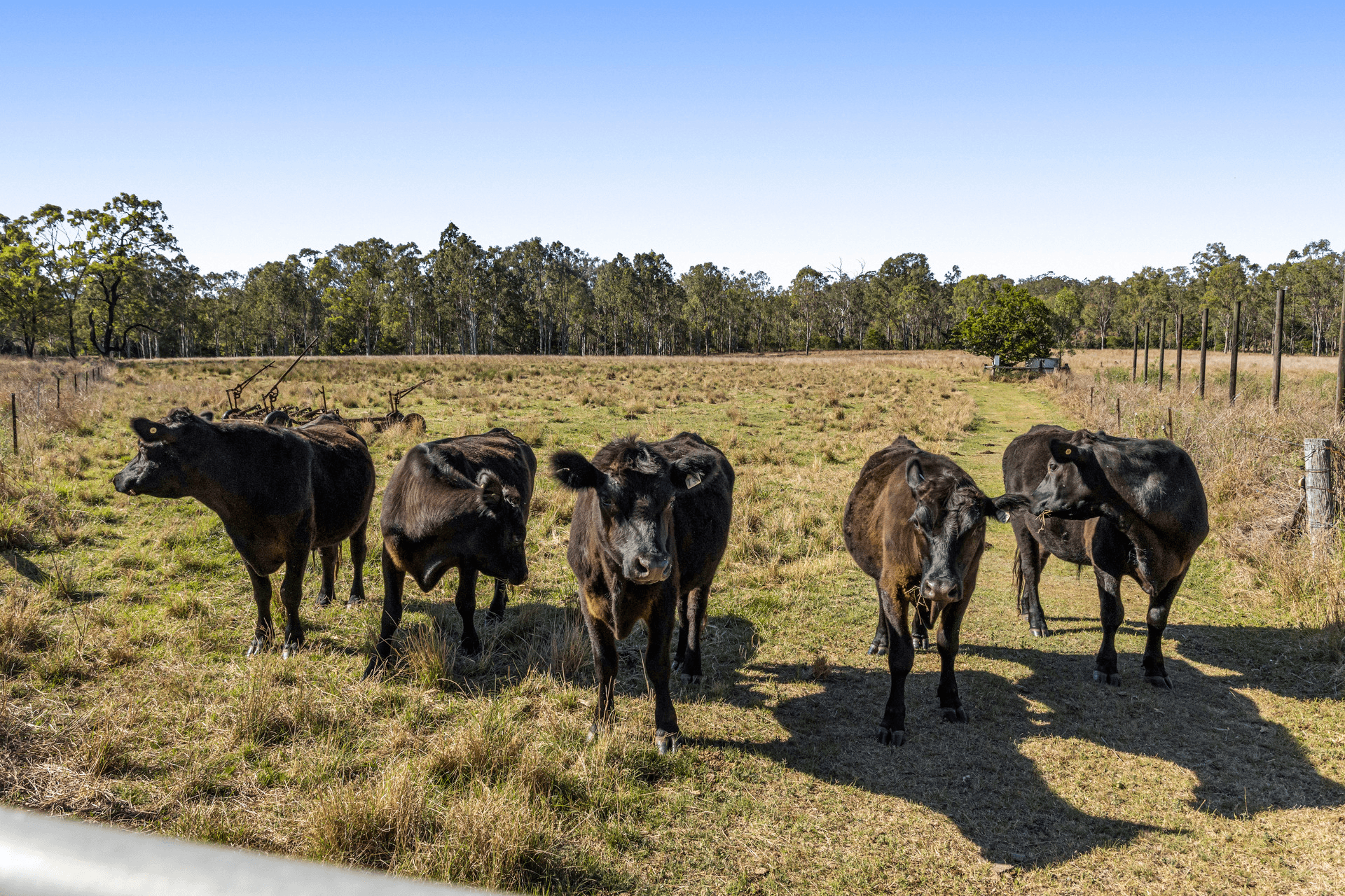 Fifteen Mile Road, Murphys Creek, QLD 4352