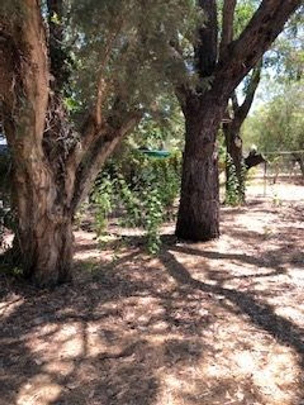 3 RIVERSIDE DRIVE, FURNISSDALE, WA 6209