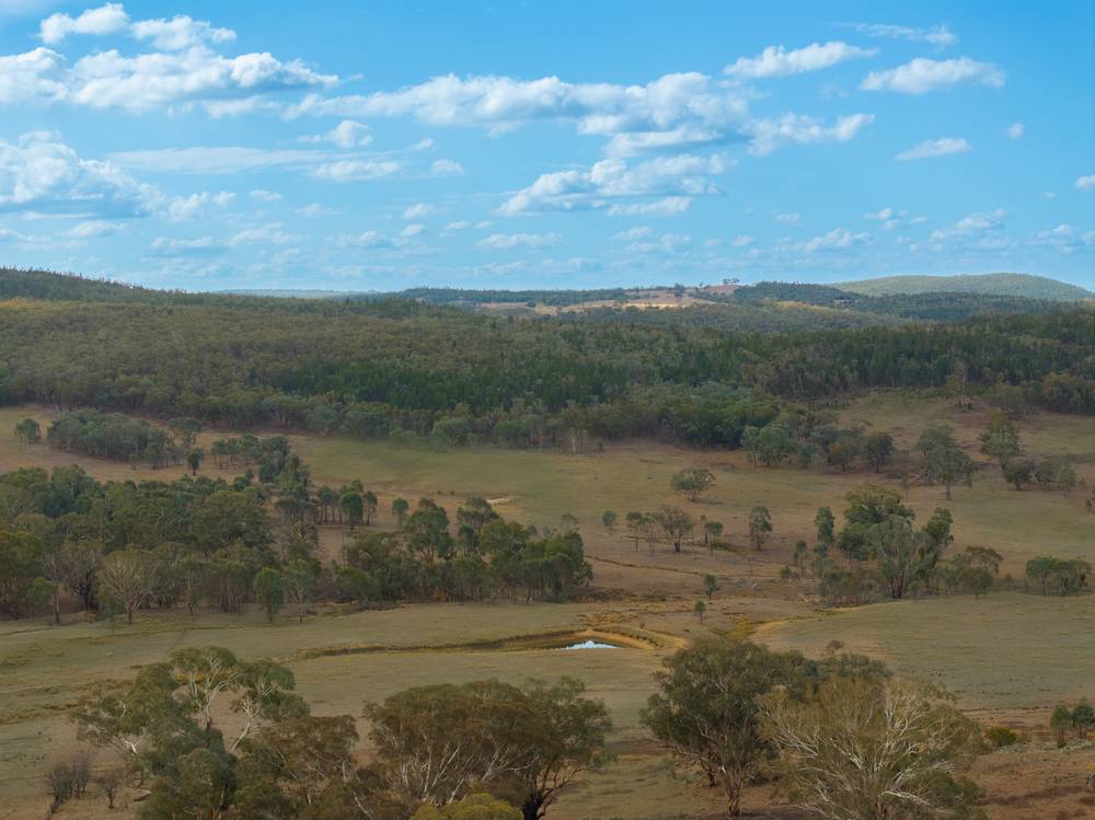 346 Caringa Road, Godfreys Creek, NSW 2586
