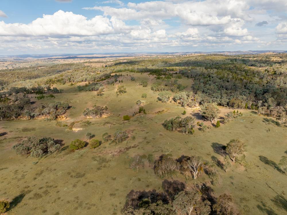 346 Caringa Road, Godfreys Creek, NSW 2586