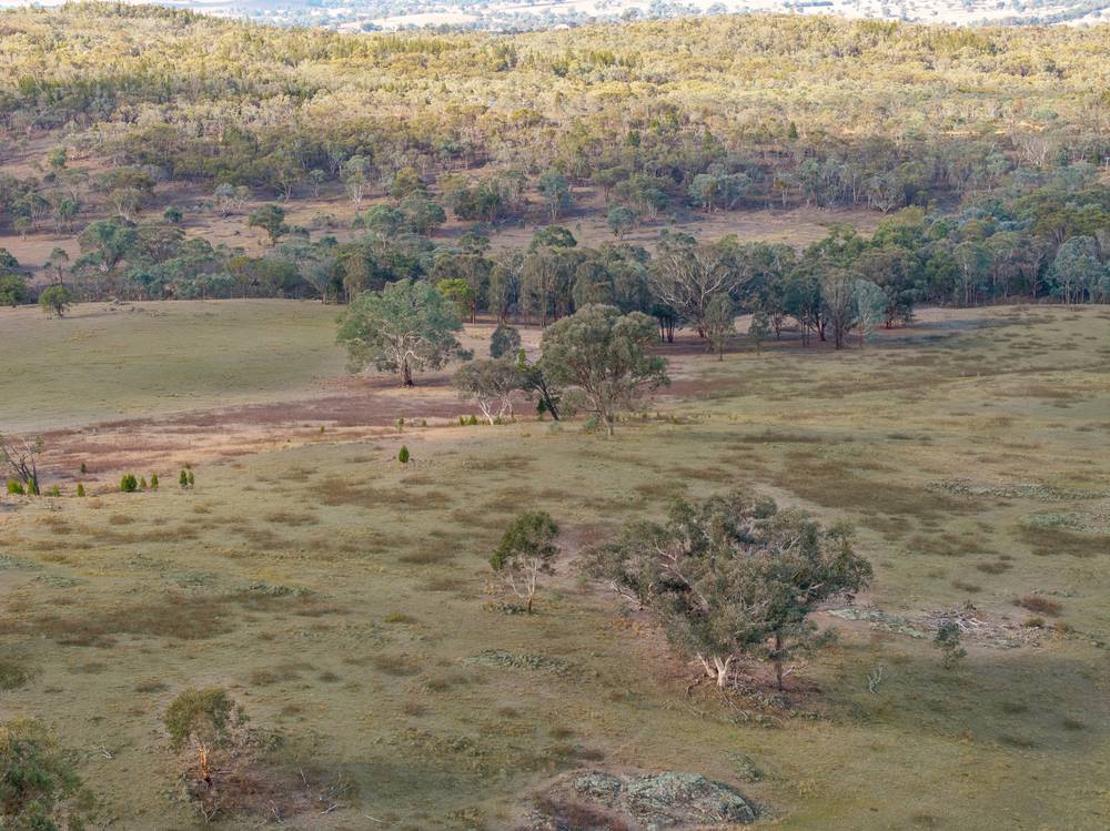 346 Caringa Road, Godfreys Creek, NSW 2586