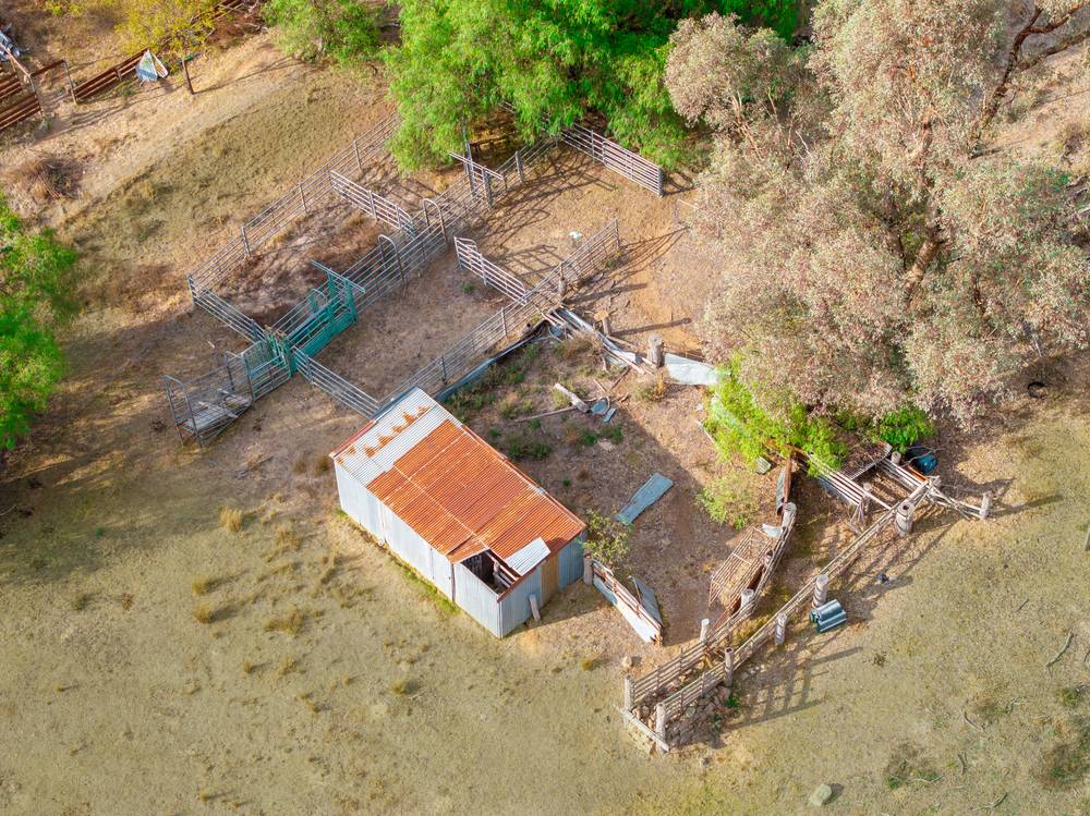 346 Caringa Road, Godfreys Creek, NSW 2586