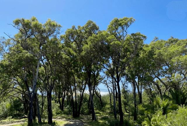 14B Bastion Point Road, MALLACOOTA, VIC 3892