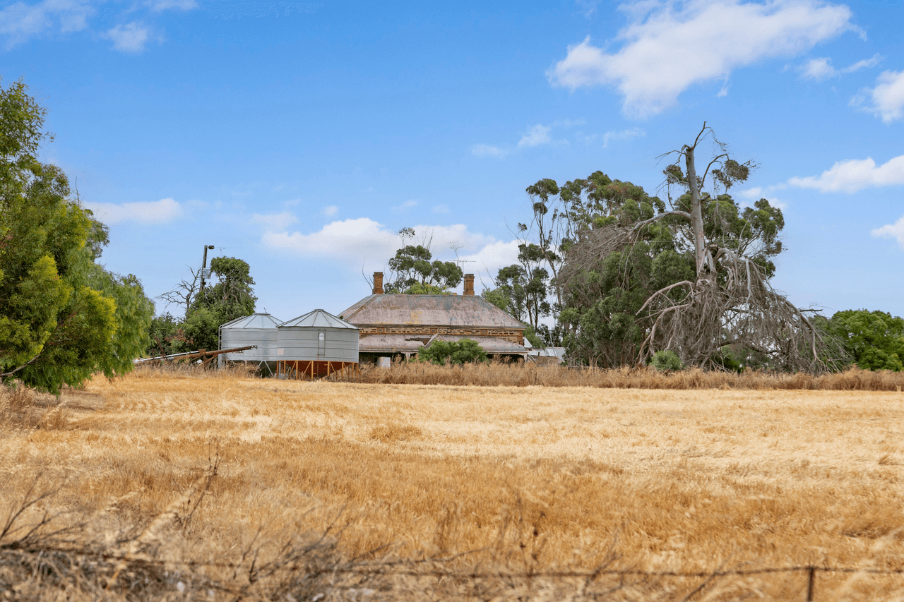 'Peters Farm' Peters Road, FREELING, SA 5372