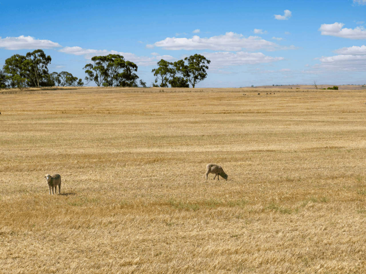 'Peters Farm' Peters Road, FREELING, SA 5372