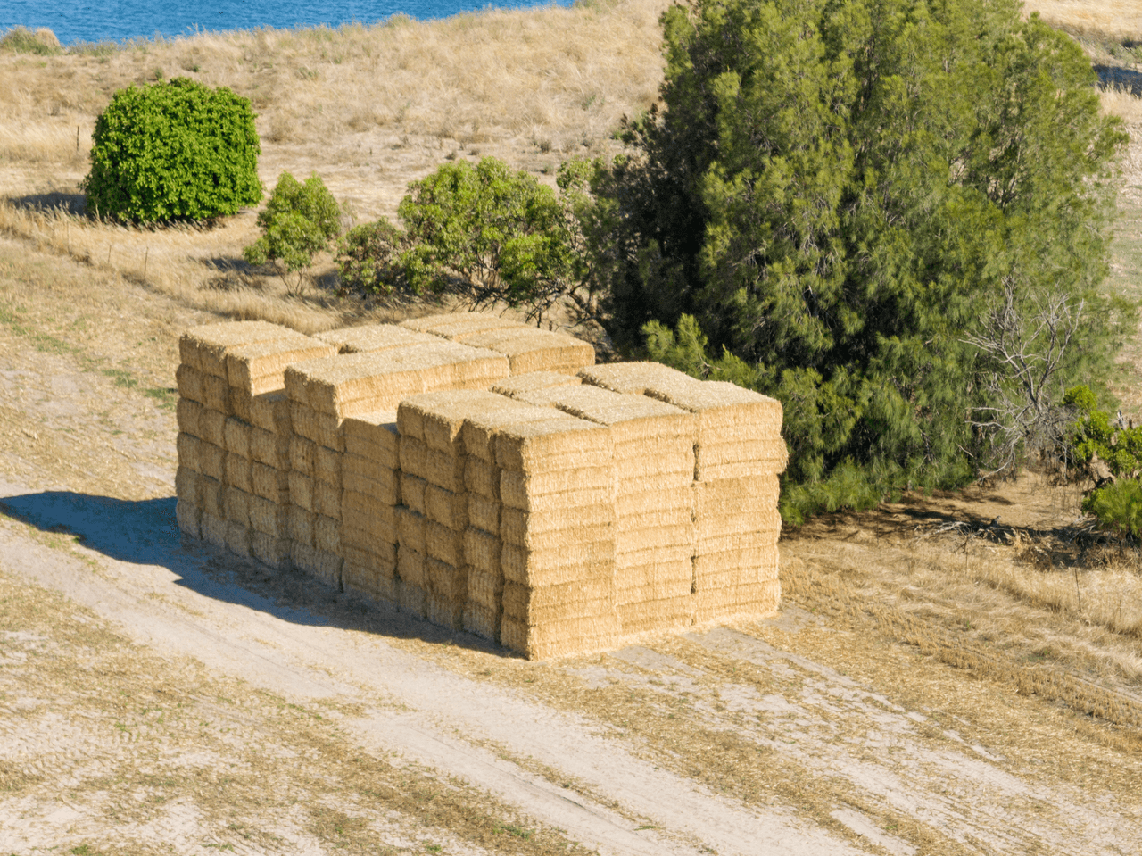 'Peters Farm' Peters Road, FREELING, SA 5372