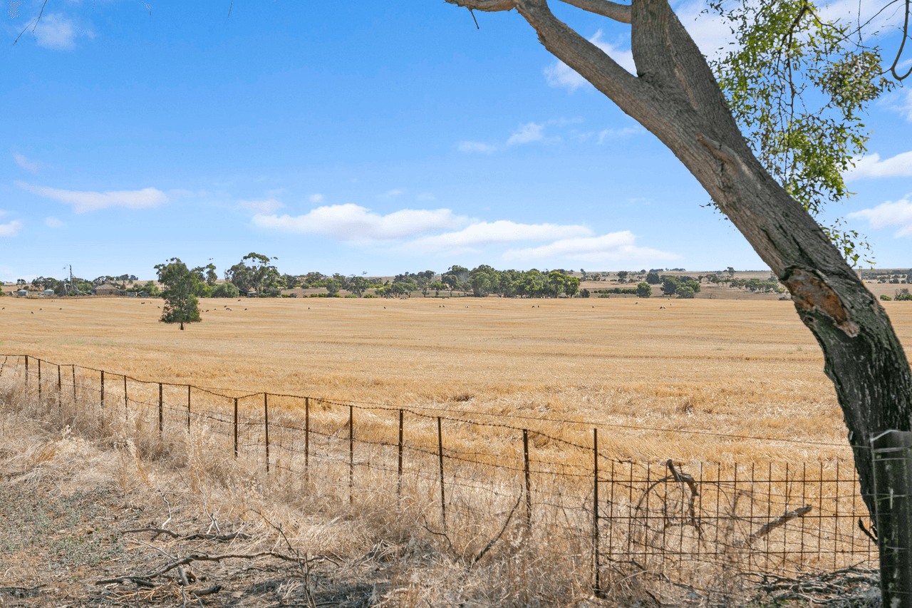 'Peters Farm' Peters Road, FREELING, SA 5372