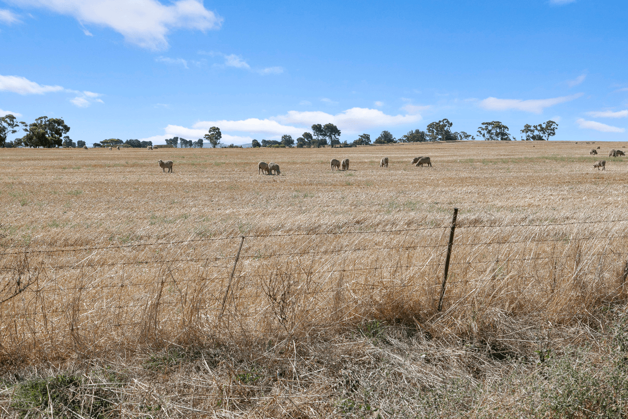 'Peters Farm' Peters Road, FREELING, SA 5372