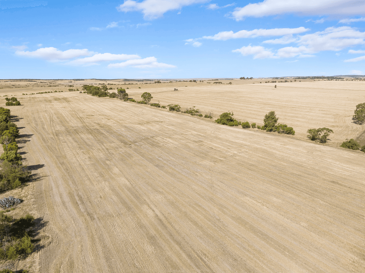 'Peters Farm' Peters Road, FREELING, SA 5372