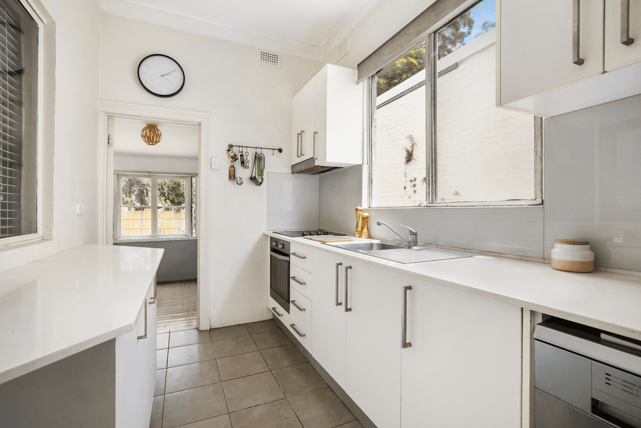 22 Emmerick Street, LILYFIELD, NSW 2040