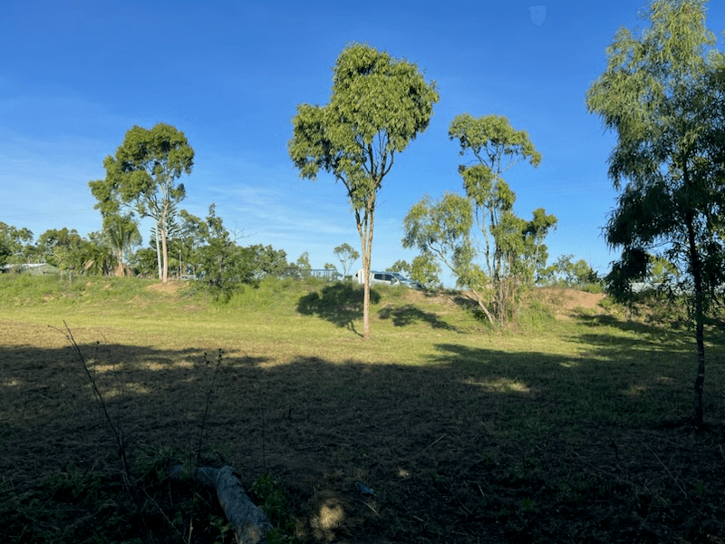 Lindeman Drive, BLOOMSBURY, QLD 4799