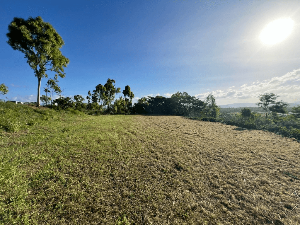 Lindeman Drive, BLOOMSBURY, QLD 4799