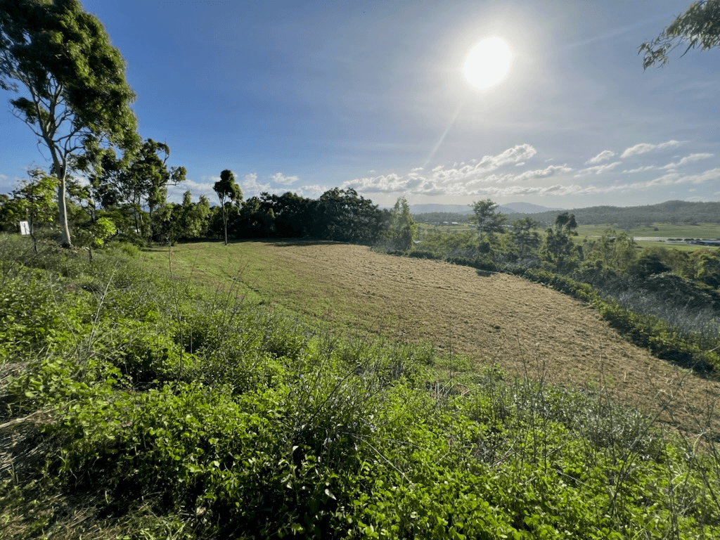 Lindeman Drive, BLOOMSBURY, QLD 4799