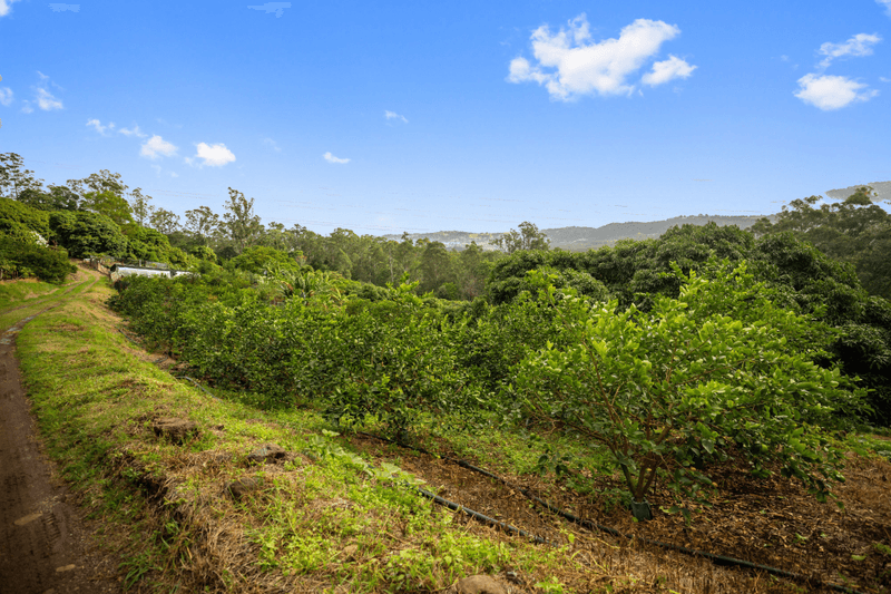 272 Mossy Bank Road, EUDLO, QLD 4554