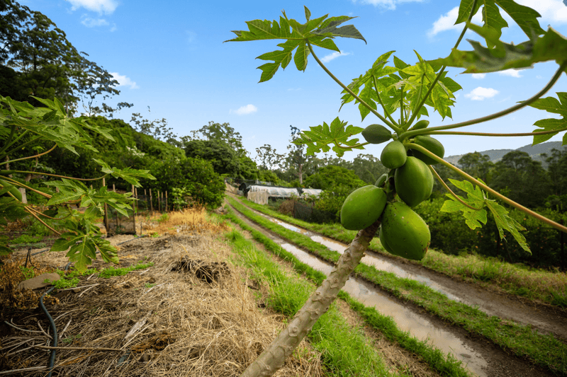 272 Mossy Bank Road, EUDLO, QLD 4554