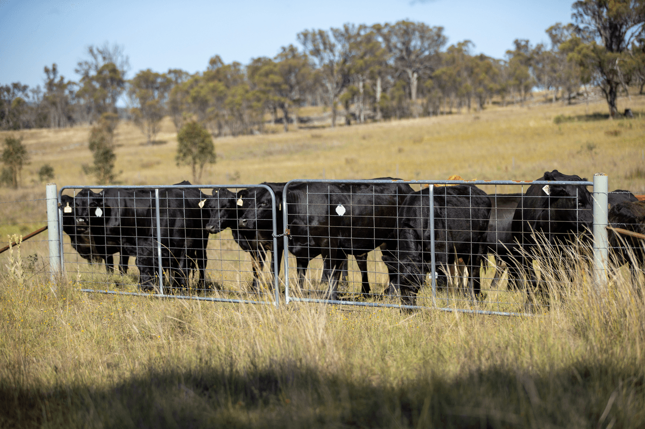 'Werona' Rowena Road, BALALA, NSW 2358