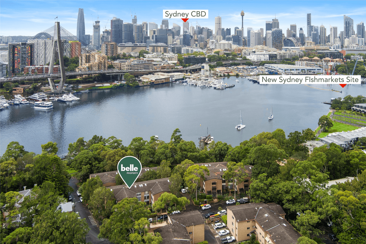 10/16 Leichhardt Street, Glebe, NSW 2037