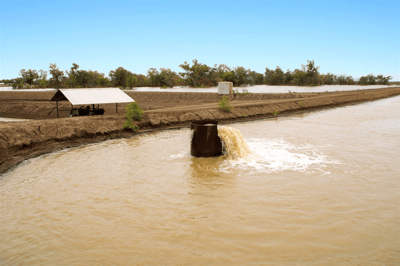 . Lower Namoi  Regulated River General Security Water, Narrabri, NSW 2390