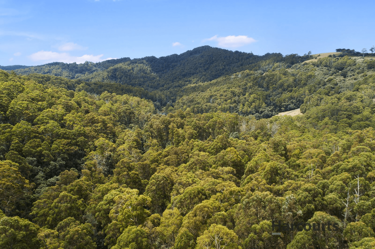 21 Bannons Bridge Road, Gunns Plains, TAS 7315