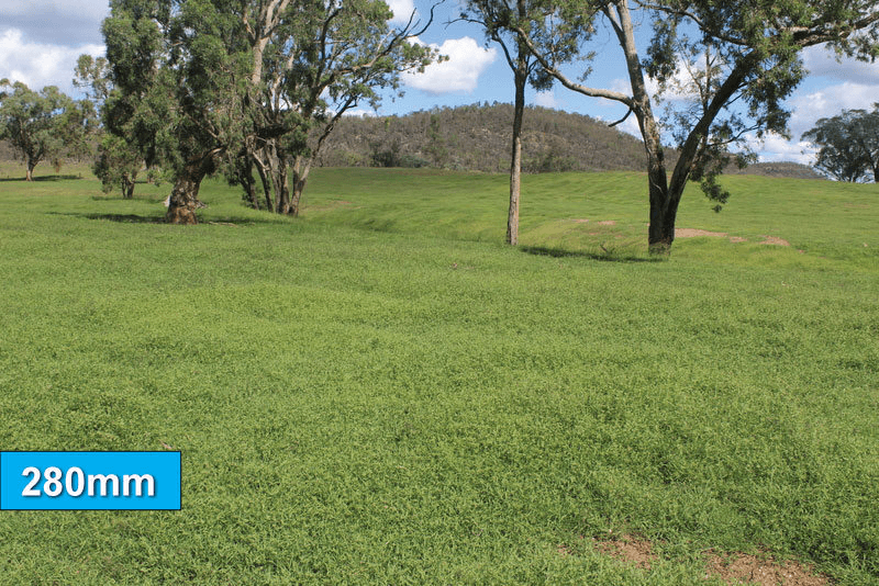 " Olive Vale", BINGARA, NSW 2404