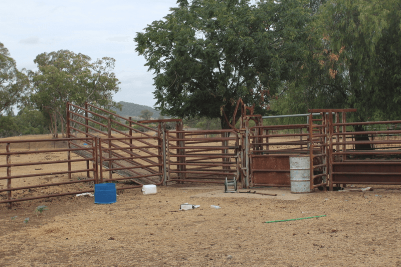 " Olive Vale", BINGARA, NSW 2404